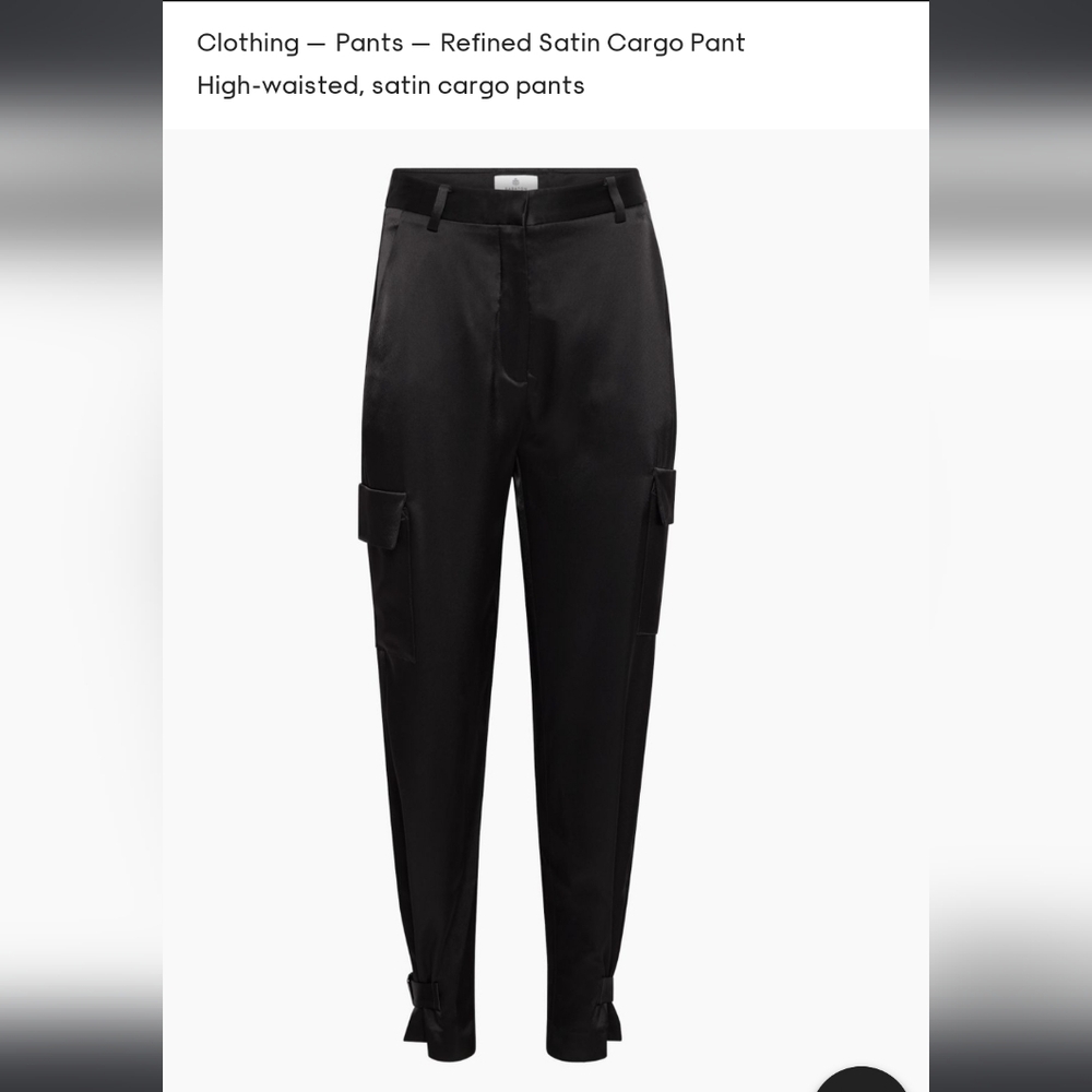 Refined Satin Cargo Pant (Aritzia)